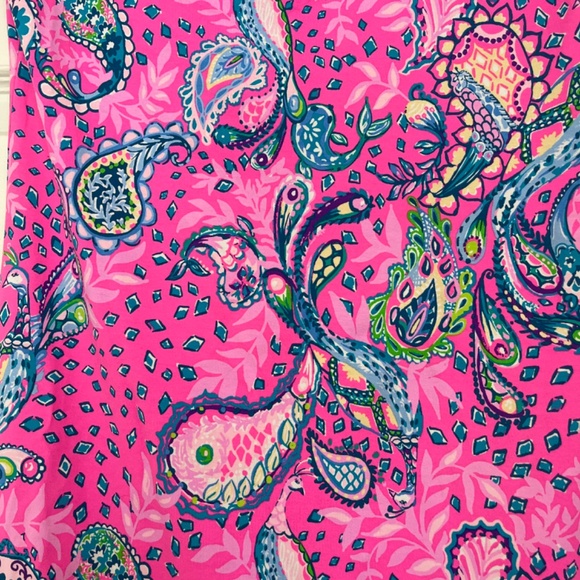 Lilly Pulitzer dress - Picture 3 of 4